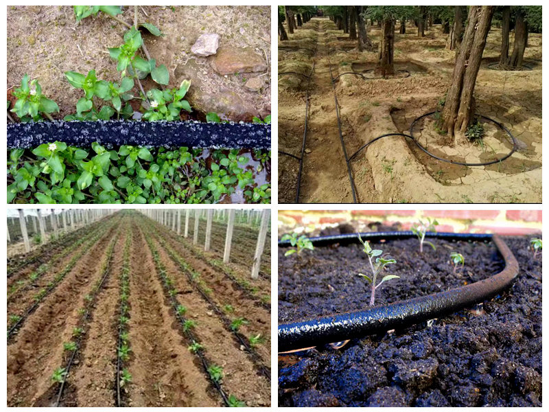 Paano ginagamit ang rubber soaker hose para sa patubig?